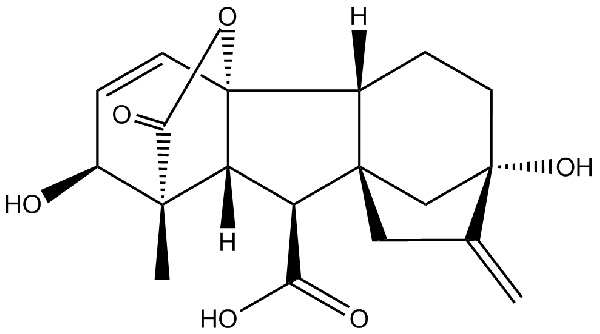 赤霉素GIBBERELLIC ACID，居然有這么神奇？